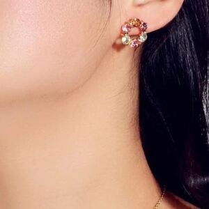 5/$25 MULTICOLOR RHINESTONE EARRINGS